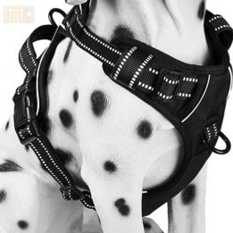 Pet Factory wholesale Amazon Ebay Wish hot large mesh dog harness 109-0001 www.gmtpet.cn