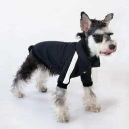 Sport Pet Clothes Custom Fashion Dog BomberJacket Blank Dog Clothes www.gmtpet.cn