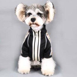 2020 Dog Coat Spring Autumn Pet Clothing Small Designer Dog Clothes www.gmtpet.cn