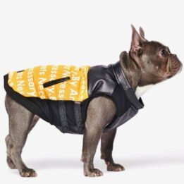 Pet Dog Clothes Vest Padded Dog Jacket Cotton Clothing for Winter www.gmtpet.cn