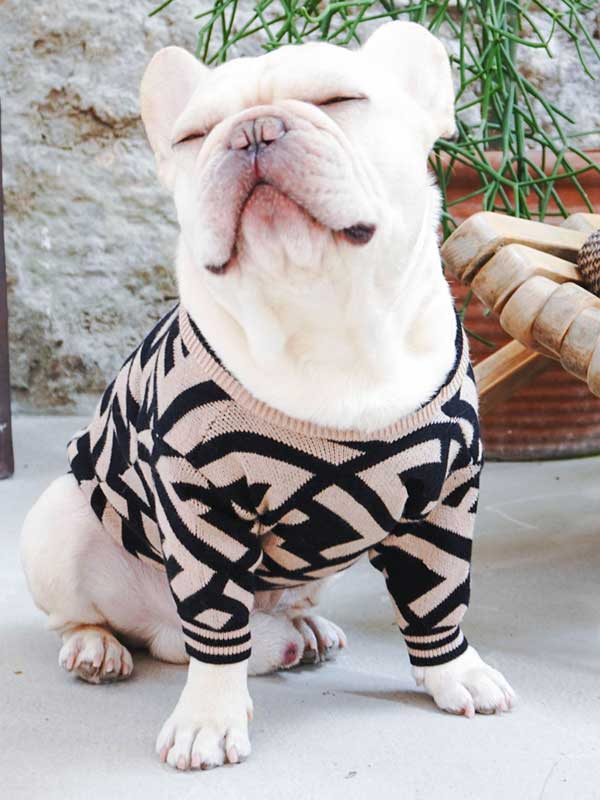 Оптовый поставщик одежды для домашних животных Роскошный вязаный свитер для собак Теплая зимняя одежда для собак 06-1392 www.gmtpet.cn