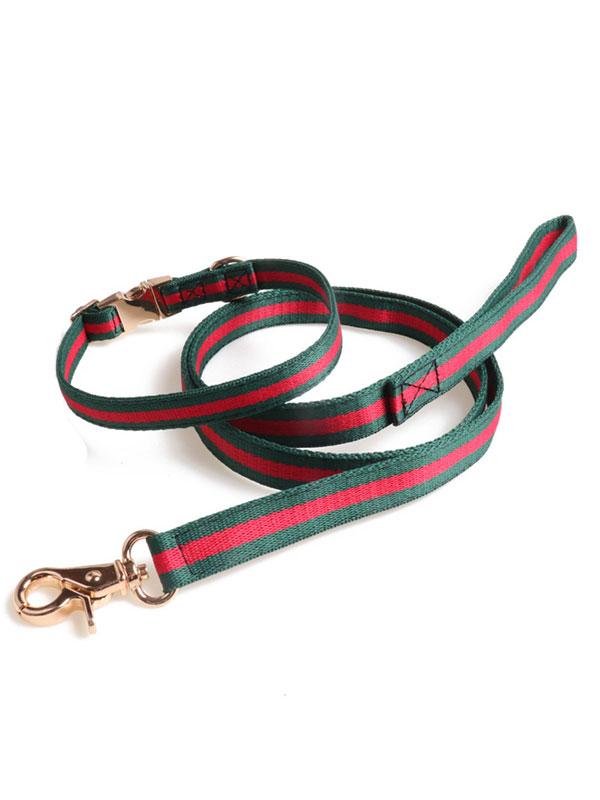 Factory Wholesale Pet Collar Nylon Webbing Dog Leash Rope Dog Collar Heavy Duty Dog Leash With Full Metal Buckle 06-1608 www.gmtpet.cn
