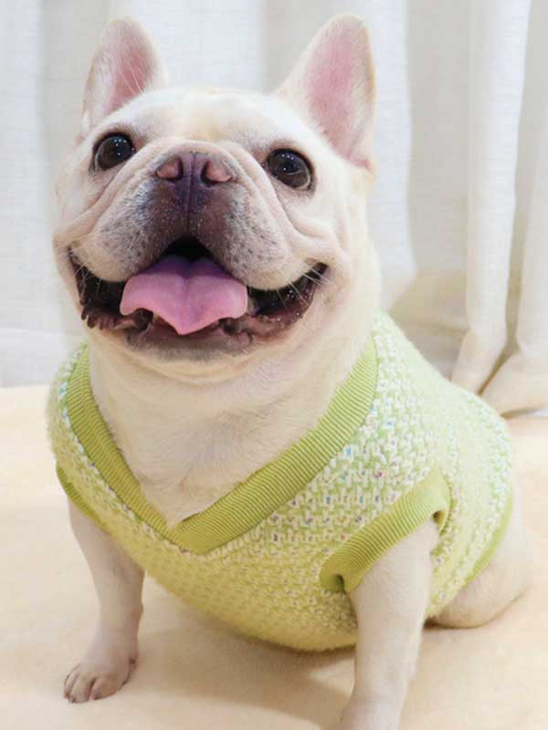 GMTPET Thickened autumn and winter fat dog short body bulldog pug dog lady plush rich rich French fighting clothes v-neck vest vest 107-222012 www.gmtpet.cn