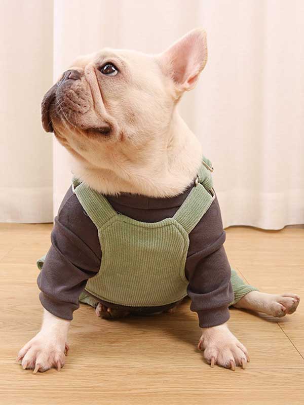 GMTPET French fighting clothes high elastic comfortable solid color plus velvet thick bottoming shirt T-shirt bulldog dog clothes 107-222016 www.gmtpet.cn