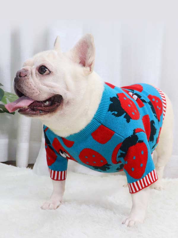New autumn and winter dog clothes bulldog sweater strawberry cartoon short body fat dog method fighting autumn sweater 107-222041 www.gmtpet.cn