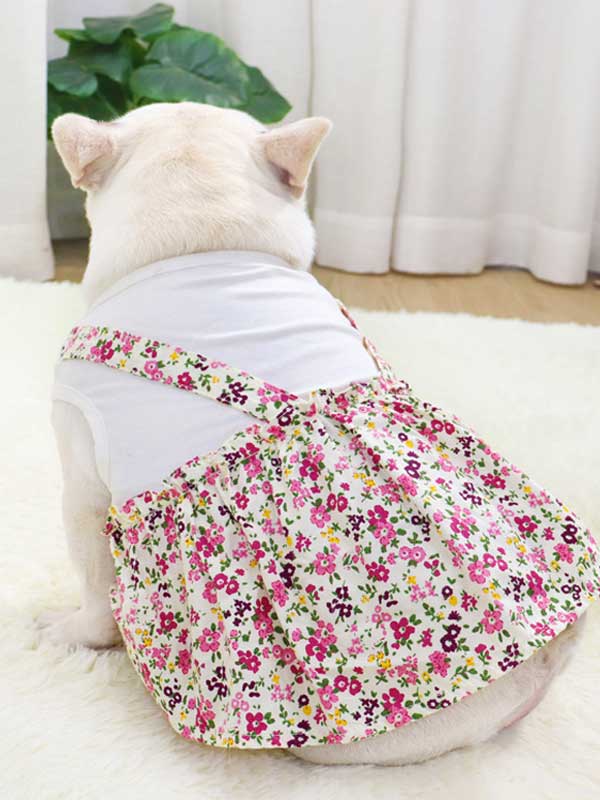 Ropa para perros y mascotas Camisa de fondo Camiseta Ropa de algodón Vestido 107-222043 www.gmtpet.cn