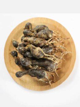 OEM & ODM Pet food freeze-dried Quail for dog and cat 130-072 www.gmtpet.cn