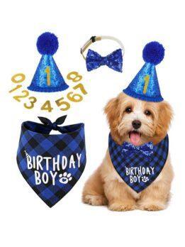Pet party decoration set dog birthday scarf hat bow tie dog birthday decoration supplies 118-37011 www.gmtpet.cn