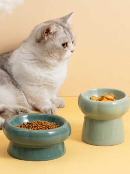 Tigela de cerâmica para gato tigela para comida de gato tigela para beber cachorro 123-12011 www.gmtpet.cn